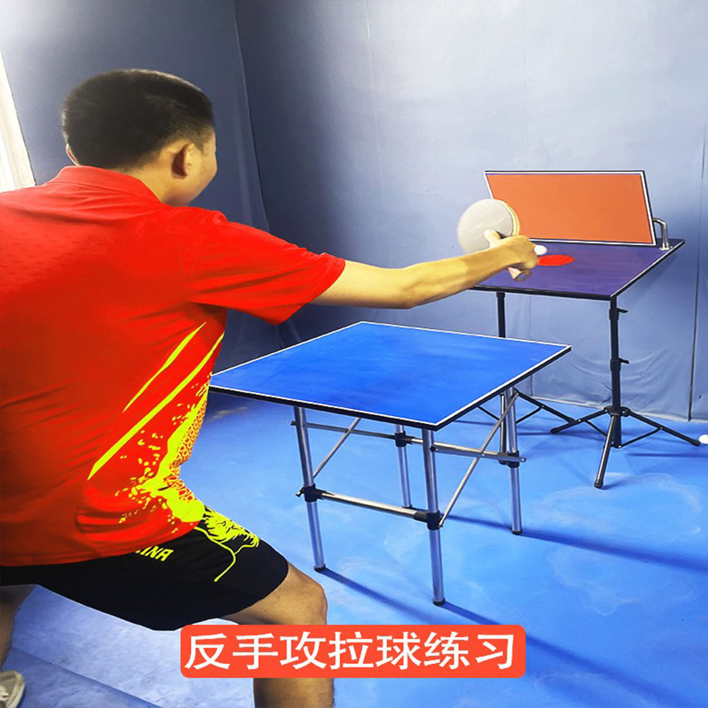 Papan rebound pelatih tenis me - Table Tennis Trainer ulasan dan harga