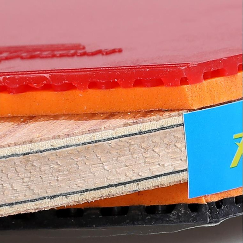 Raket tenis meja bintang 5/6 i - Table Tennis Eleven ulasan dan harga