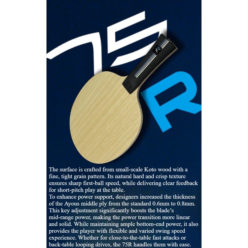SANWEI 75R 5+2 Outer H-GLC Bla - Table Tennis Blades ulasan dan harga